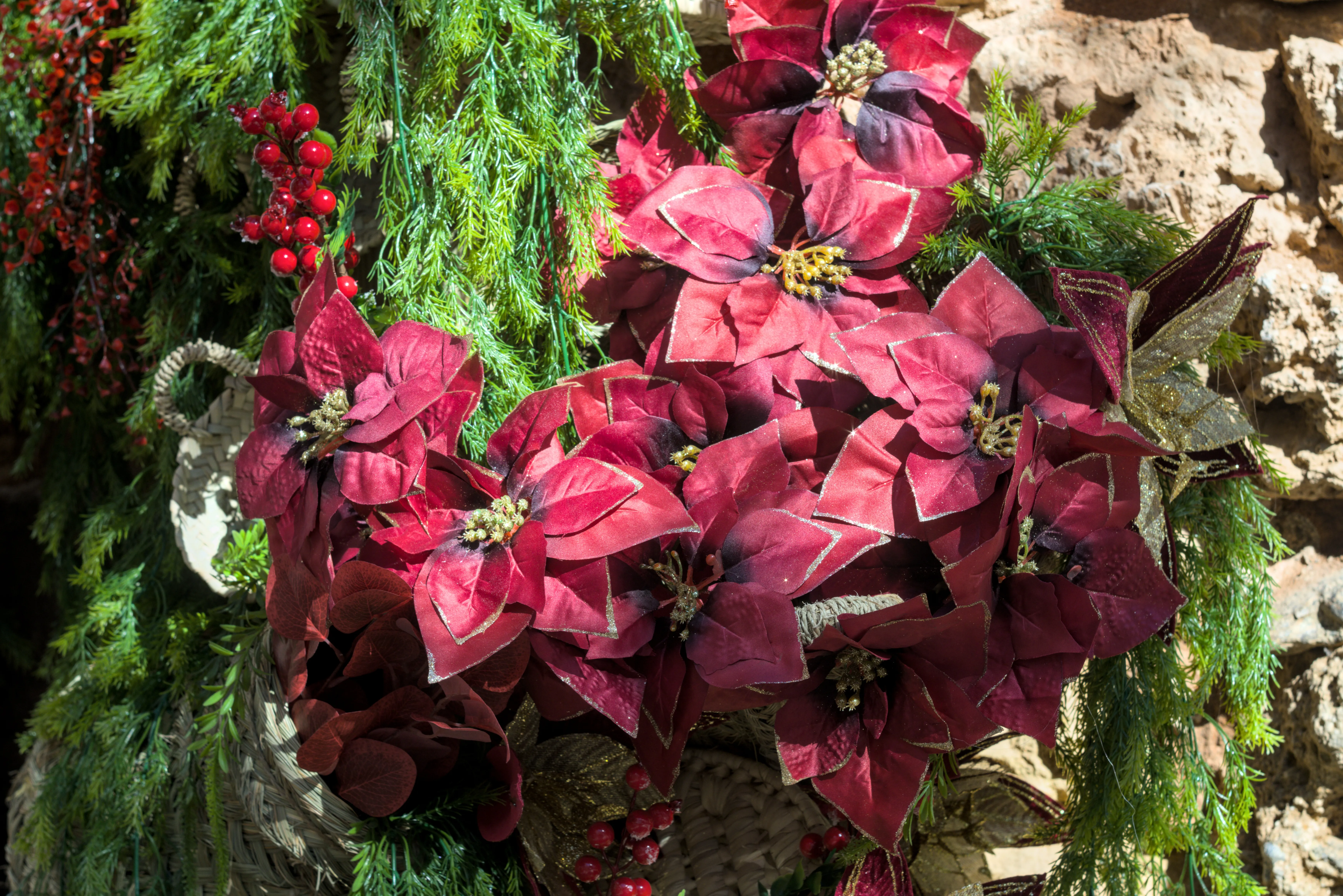 Zenith Helios-77M-4 1,850 (VOMZ) - _I4A7198.webp